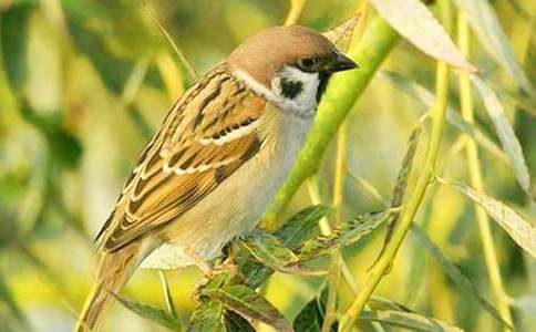 ��B��ȸ�ă�(y��u)������