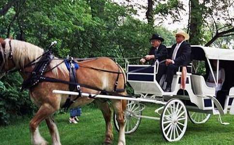 �����С�R܇(ch��)ͯԒ(hu��)����