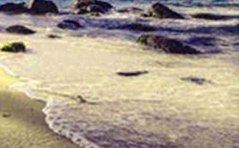 �����������600�֣����x23ƪ��