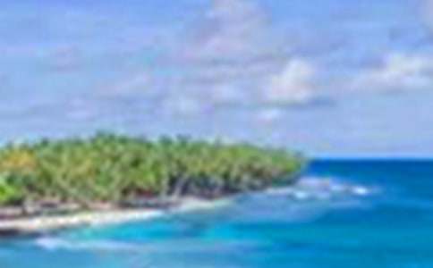 ���P(gu��n)��������500����ƪ