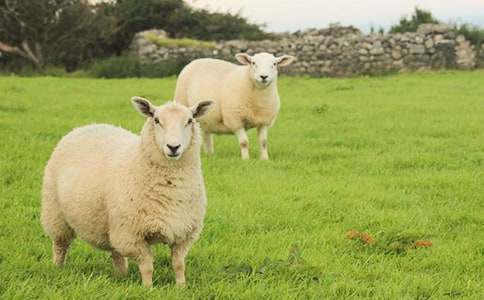 ����С�d������300��