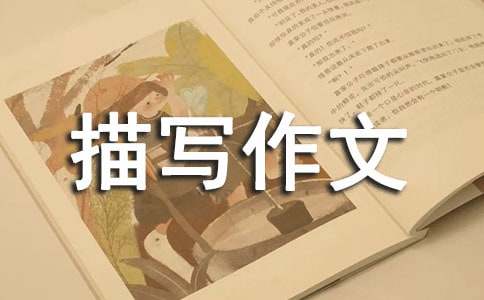 ���꼉�����茑���ģ����x22ƪ��