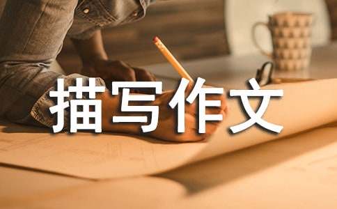 小學(xué)人物描寫作文(通用47篇)