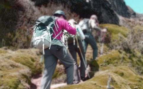 ������ɽ������500��4ƪ