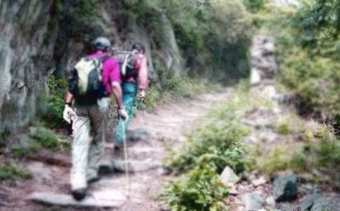 ����Ʒ����ɽ����600�֣�ͨ��26ƪ��