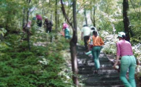 �y���ĵ�һ����ɽ����