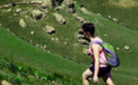 ����Ʒ����ɽ����300�ְ�ƪ