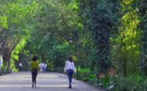 ��ɽ����500�� ��ɽ