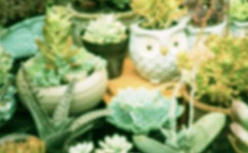 �����T����������300����ƪ