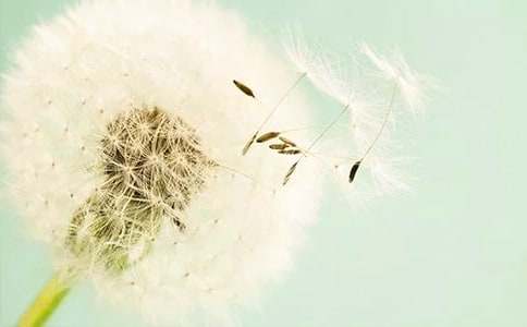 ����(sh��)�á��ѹ�Ӣ����500��4ƪ