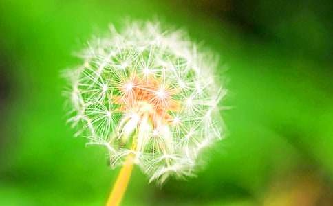 �ѹ�Ӣ�Ļ�����300��