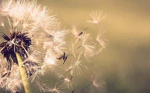 ����(sh��)�á��ѹ�Ӣ����300��7ƪ