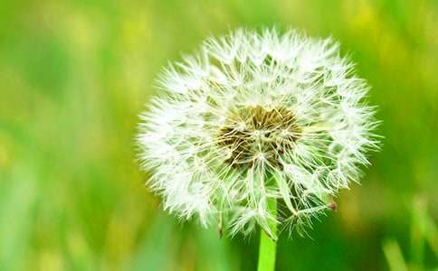 �ѹ�Ӣ�N������300����ƪ