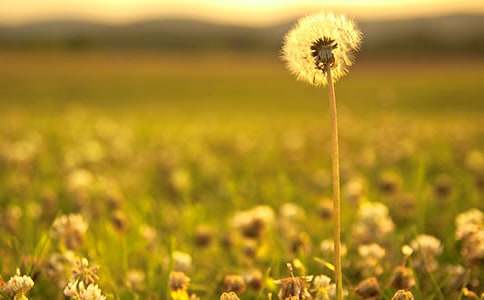 �ѹ�Ӣ�ļs������1500��