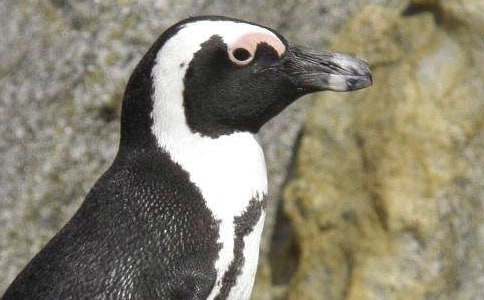 ����Ʒ�����Z����300��50ƪ