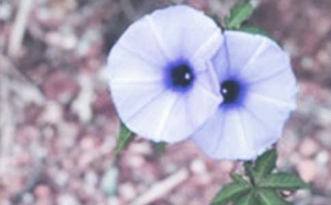 ����������1000����