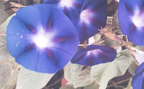 �����Ġ�������(y��u)������400��