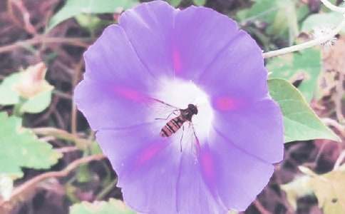 ������700������