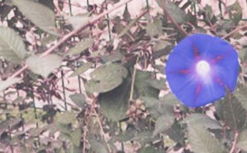 ������������