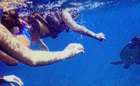 ���]���y���ĝ�ˮ����