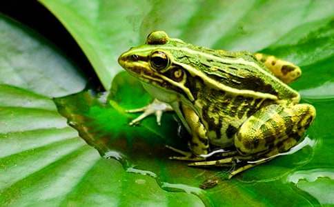 ���o���ܵ�С�W���ģ�ͨ��26ƪ��