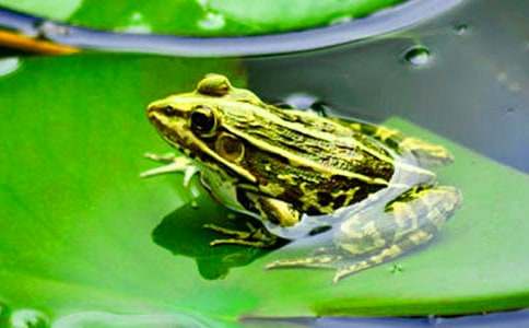 ��������300��5ƪ