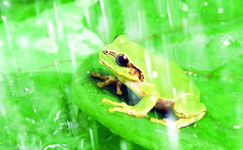 ���܆�ʾ����300�֣�ͨ��18ƪ��