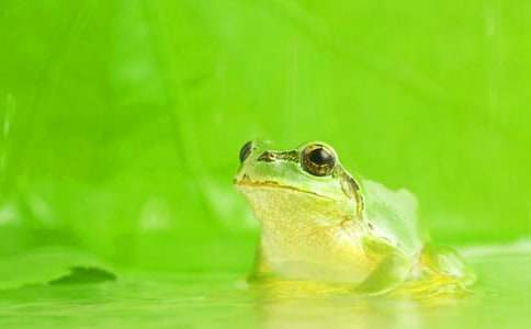 �P(gu��n)�ڄ�(d��ng)���С�W(xu��)���ģ����ܣ����x10ƪ��