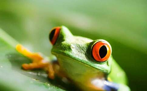 ����Ʒ����������600��4ƪ