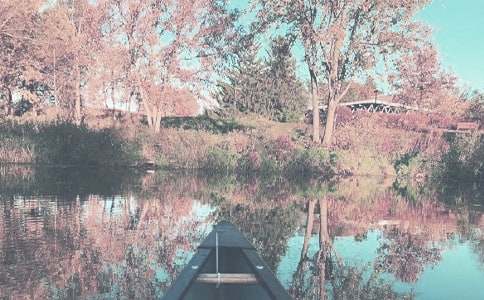 ����＾����