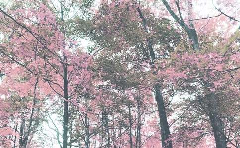 ���x�＾���ļ���10ƪ