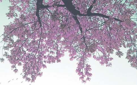 �����]���＾�����ĺϼ�6ƪ