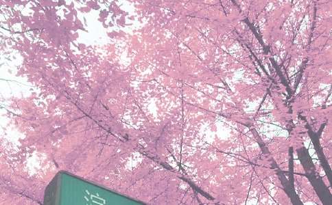 �P(gu��n)���＾����300��4ƪ