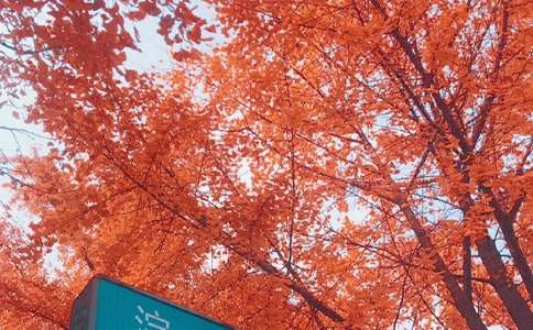 ���ջ�����ӛ������1000��