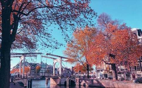 秋日作文300字合集5篇