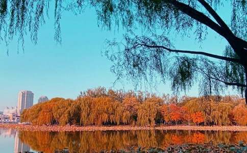 秋日作文400字三篇