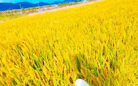 ��������600�֣����x20ƪ��