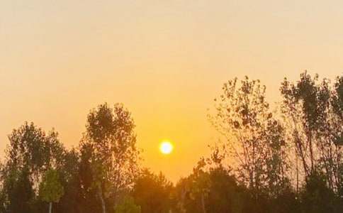 �ճ���һ����500��