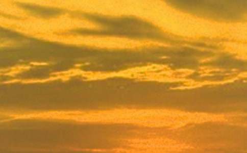 ������һ�꼉�����������