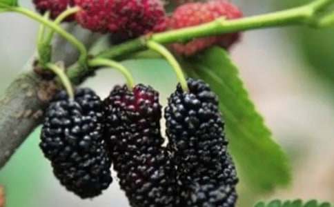 �ζ�լժɣ����������