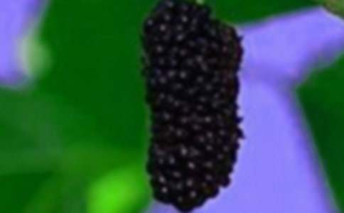 ��ɣ��С�W(xu��)����