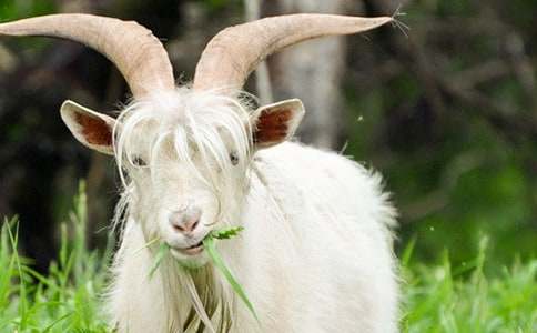 ����(sh��)�á�ɽ������300��3ƪ