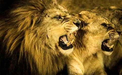 �P(gu��n)�ڪ{������300�֣����x30ƪ��