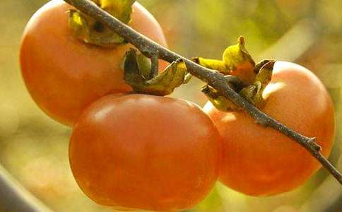 �����Ә������500��