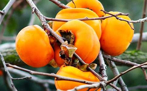 �茑��������300�֣�ͨ��28ƪ��