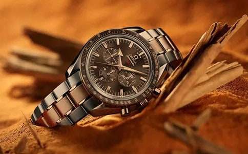 爸爸的手表作文