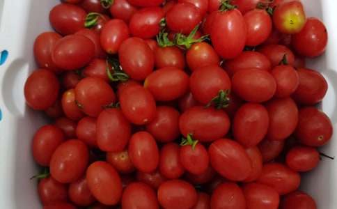 ��(l��i)��δ��(l��i)��ˮ��300�����ģ�ͨ��17ƪ��