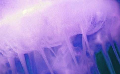 ˮĸС�W����300��