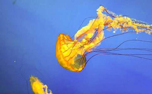 ˮĸ����300����ƪ