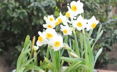 �茑ˮ�ɻ�������500��